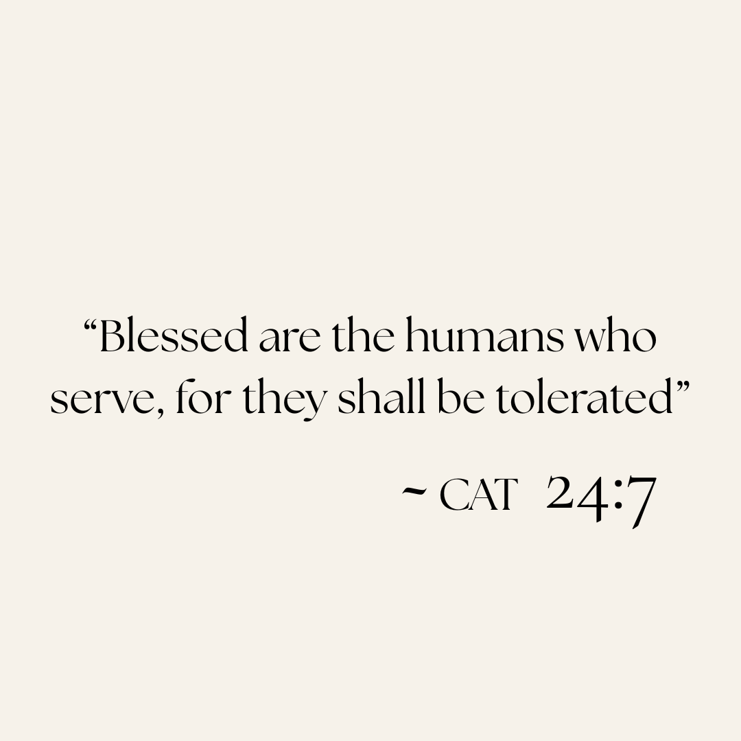 Close-up of the Holy Smokes Cat candle label, highlighting the verse text printed in elegant typography.